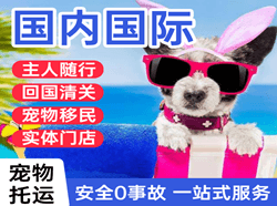 郴州北湖机场货运国际宠物托运 【国